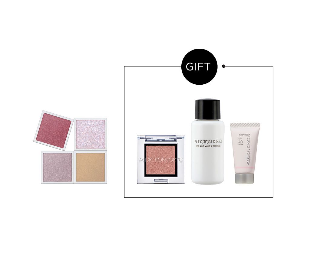 The Single Eyeshadow Set (Berry)