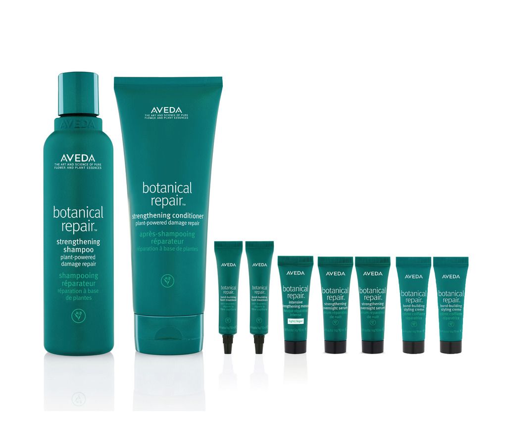 botanical repair™ basic hair repair set