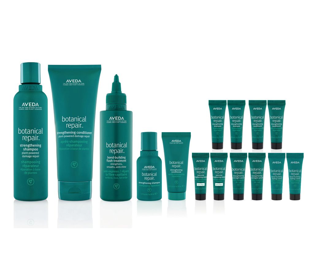 botanical repair™ instant hair strengthening set