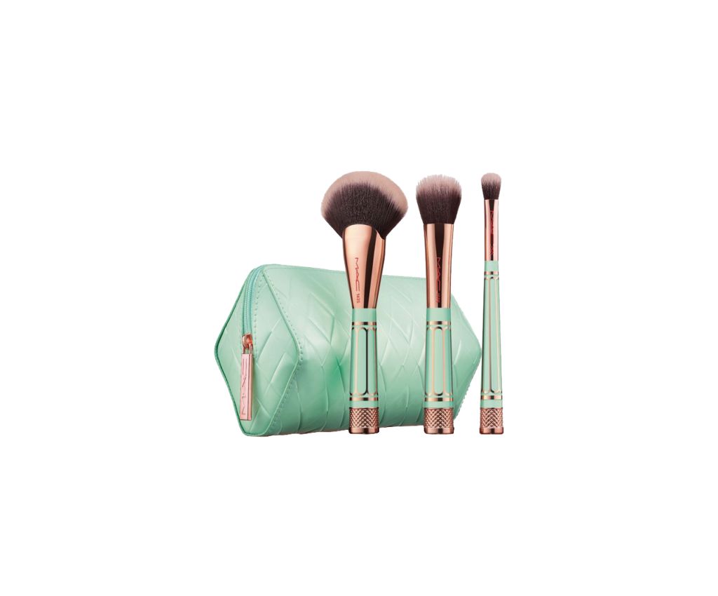 Gift MAC Brush Kit