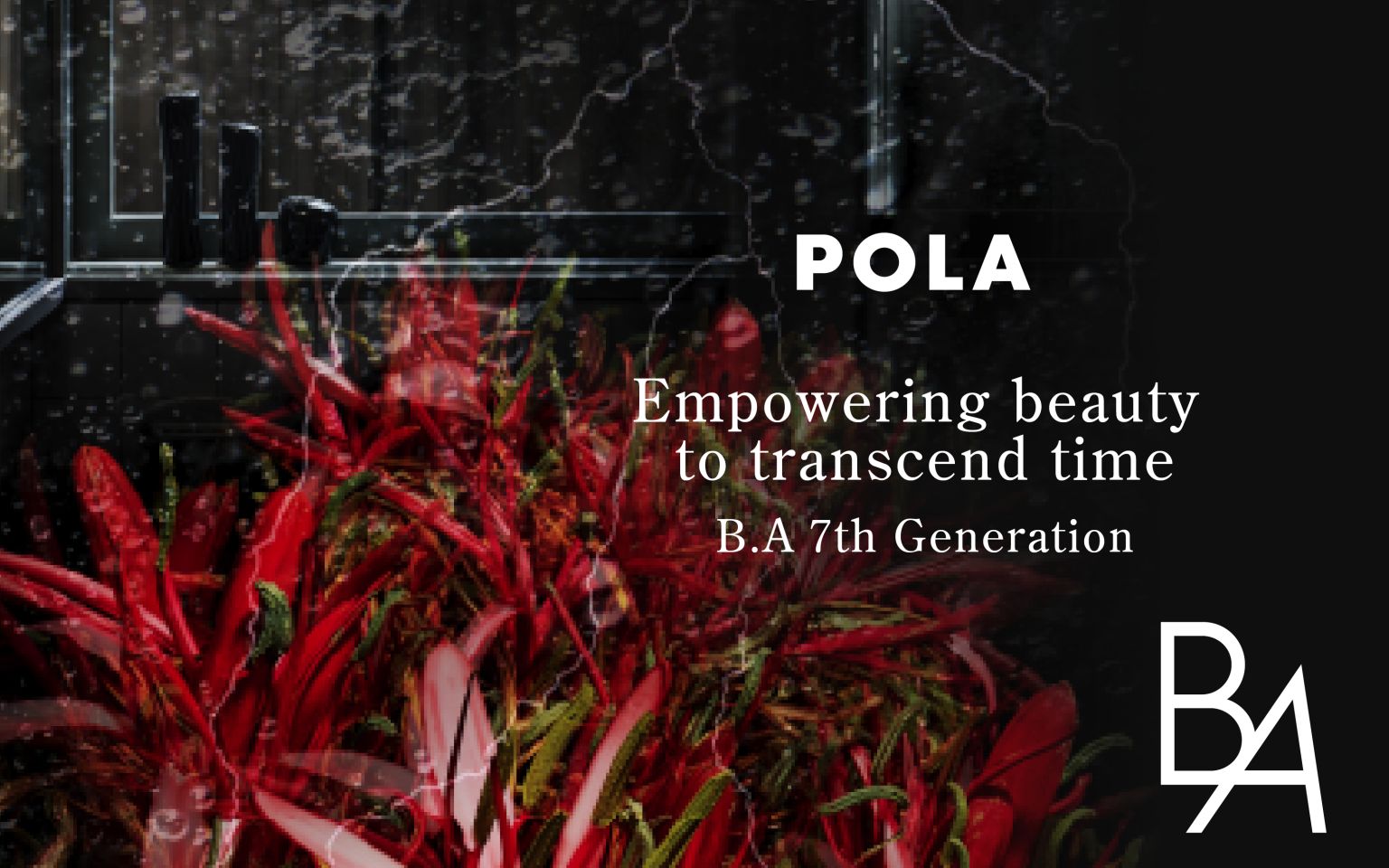 POLA