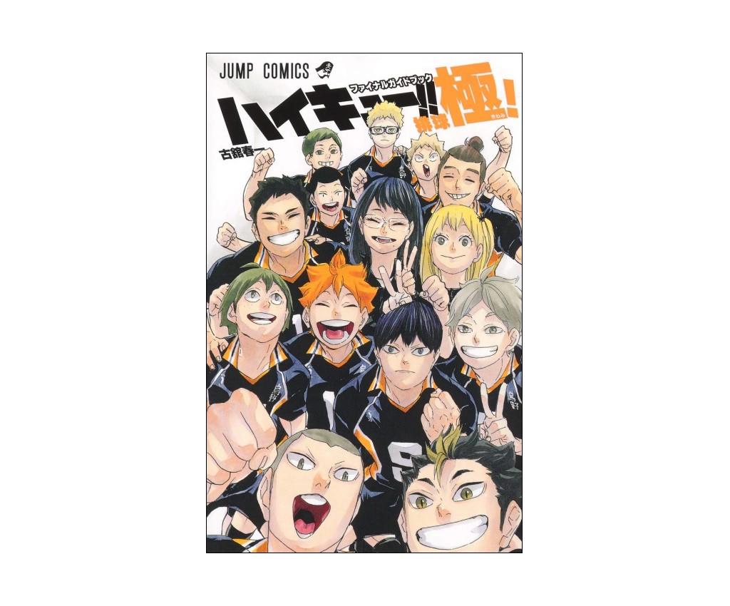 Haikyu Final Guidebook Volleyball Climax