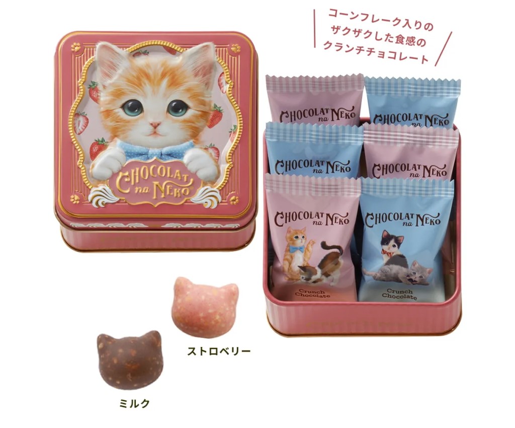 日本貓朱古力禮盒 6粒裝 (Rin)