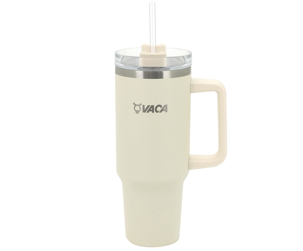 Stainless Steel Vacuum Straw Mug (HCC253)
