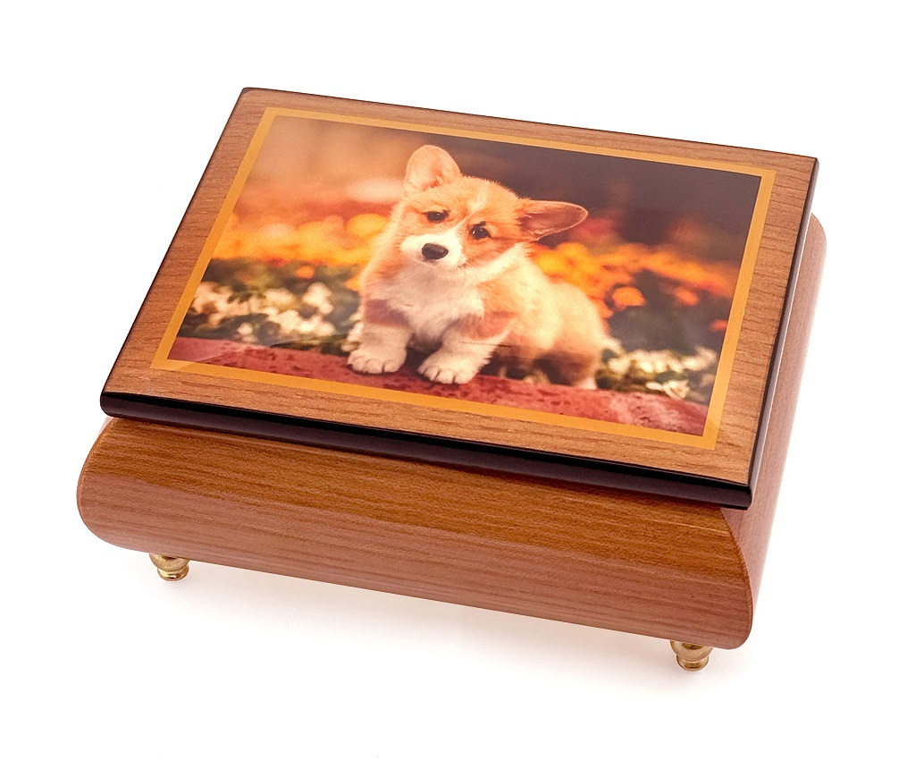 Lonely Dog - Music and Jewellery Box