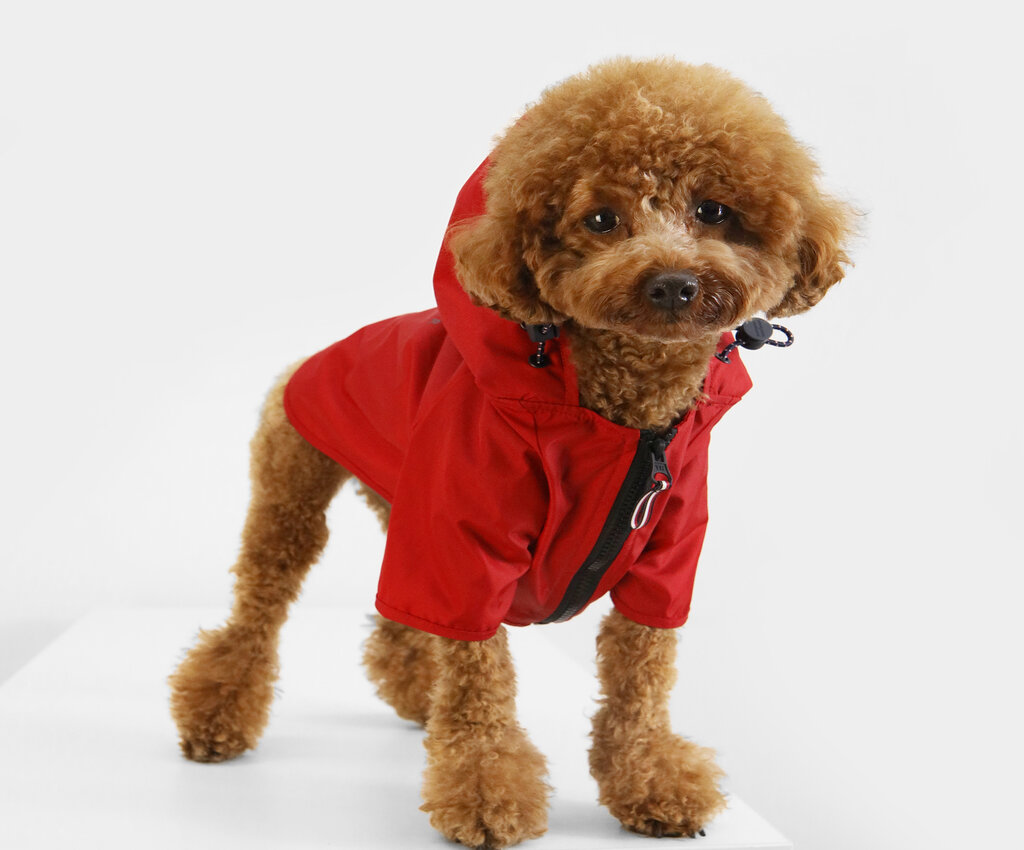 高級寵物狗防水雨衣